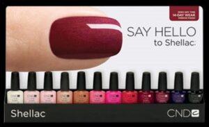 co10shellacsalonrack2_390x238